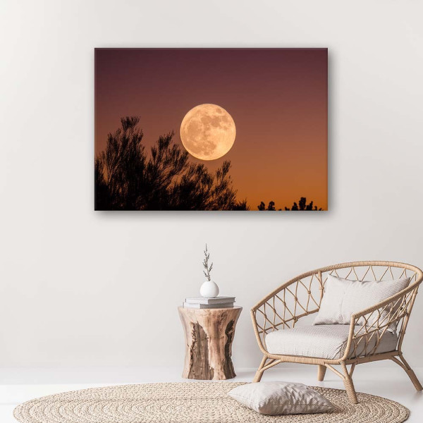 Feeby Obraz na płótnie Księżyc w pełni 60x40
