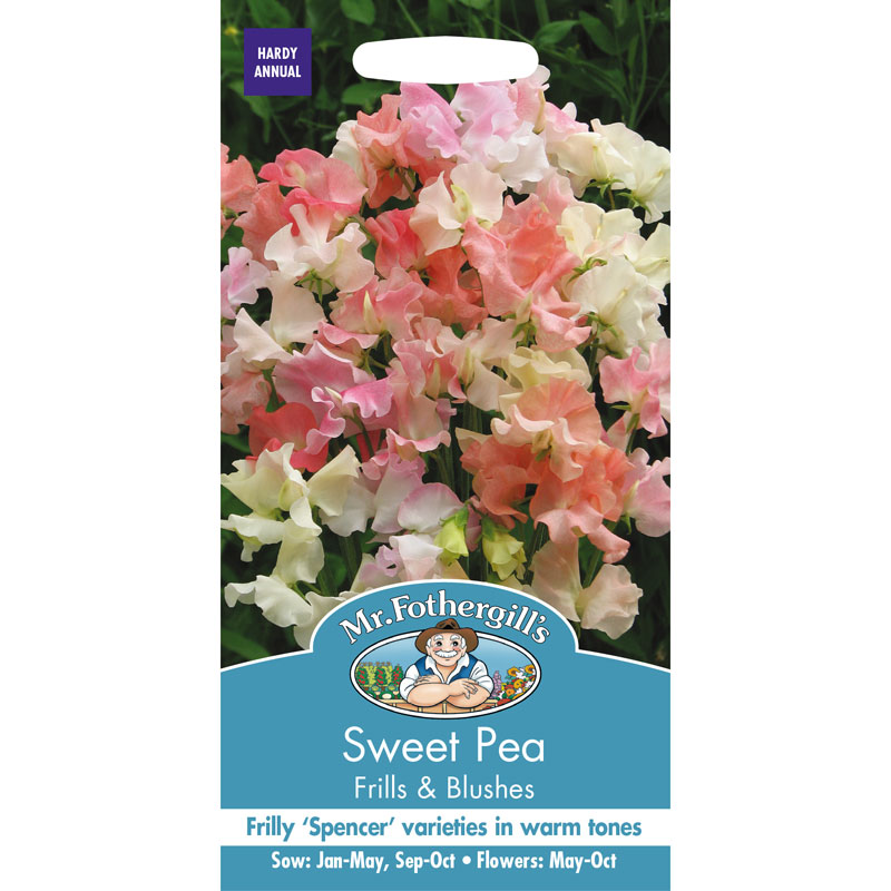 Luktärt 'Frills and Blushes'