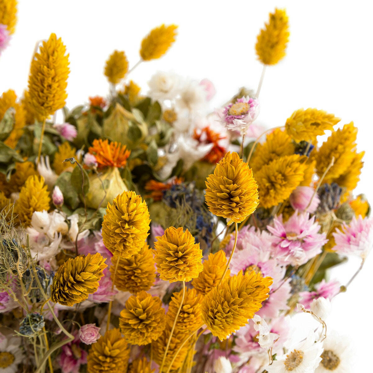 Bouquet de fleurs séchées, Kenia