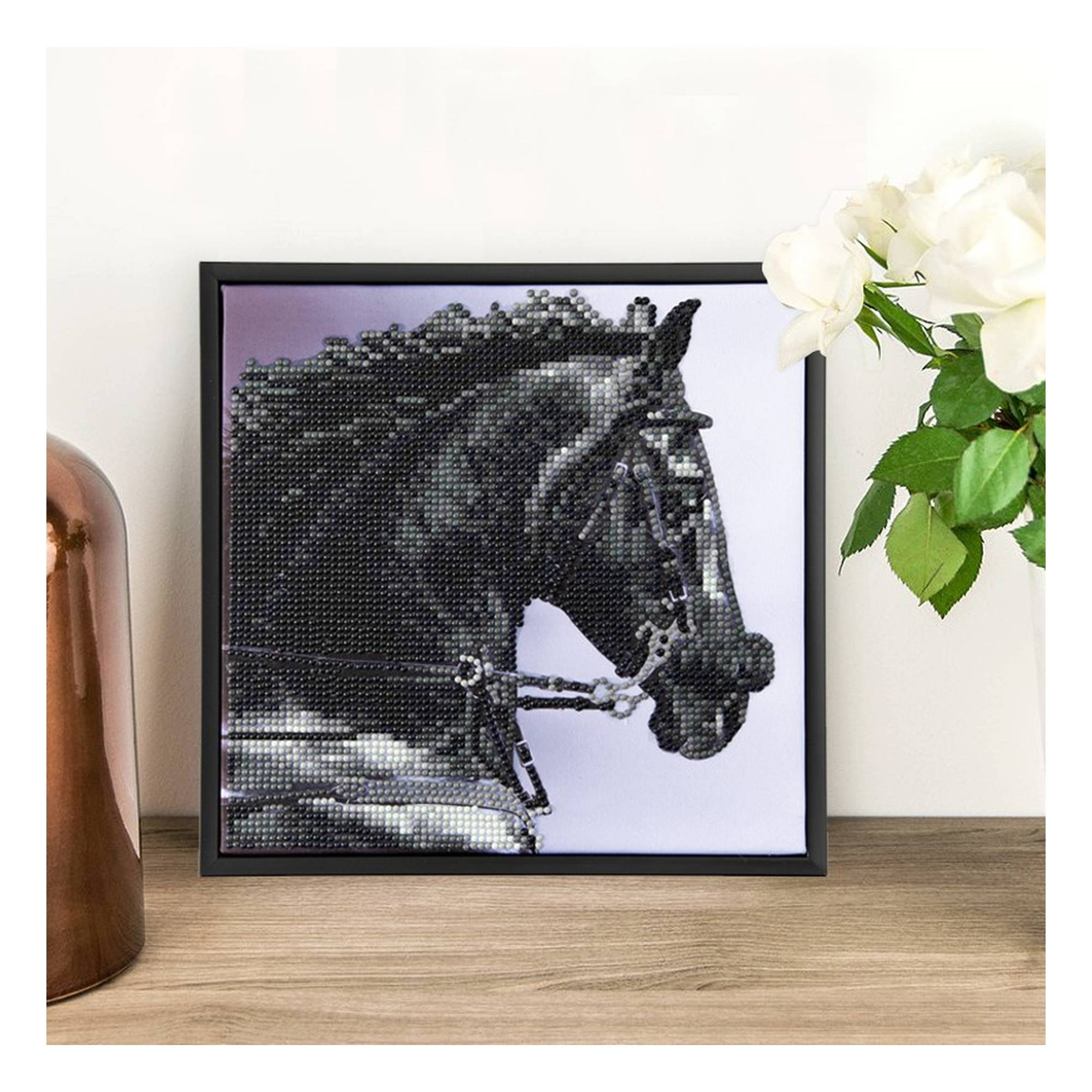 Diamond Dotz Shadow Kit 23cm x 23cm