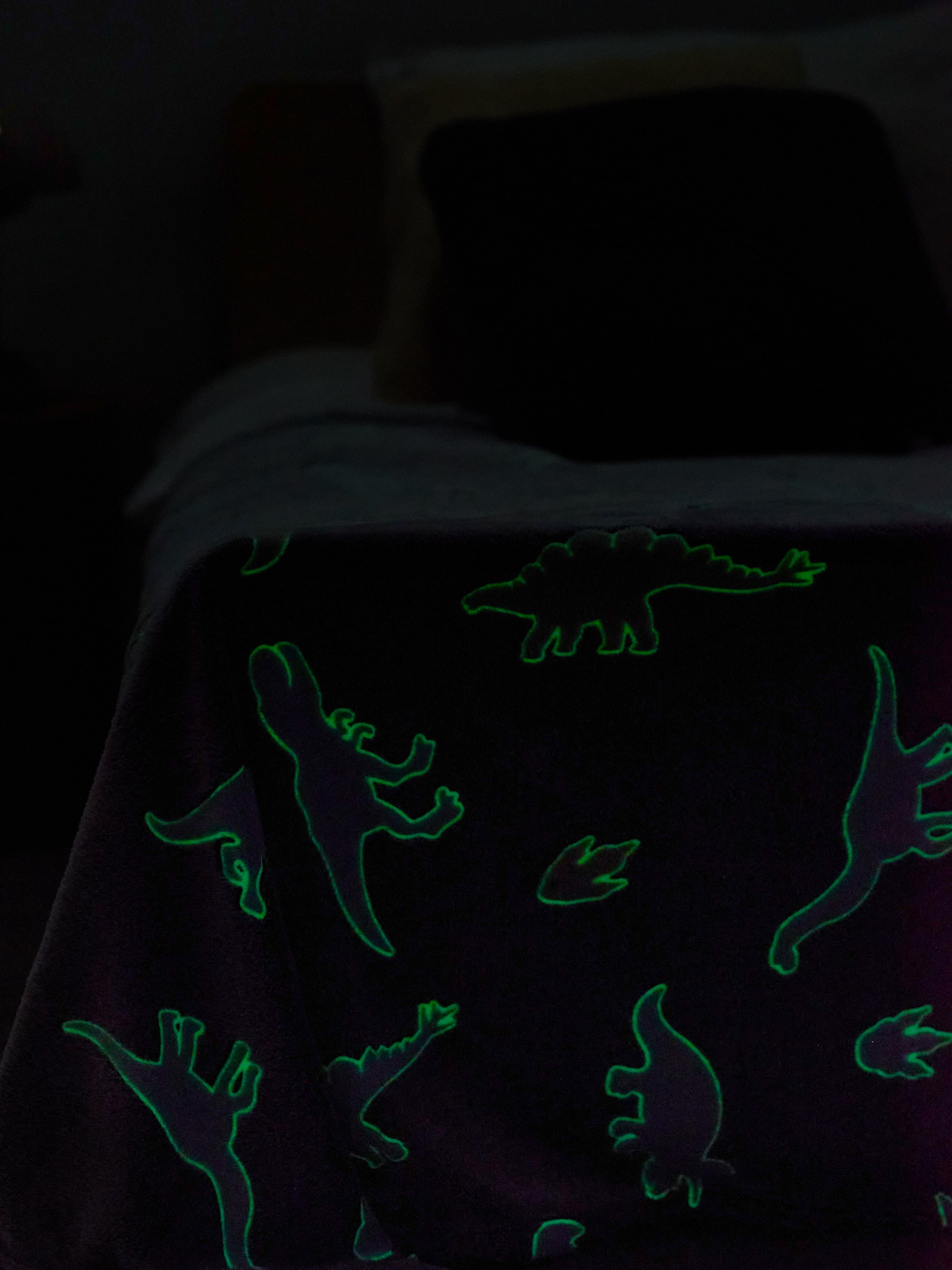 Koc z fluorescencyjnym nadrukiem w dinozaury