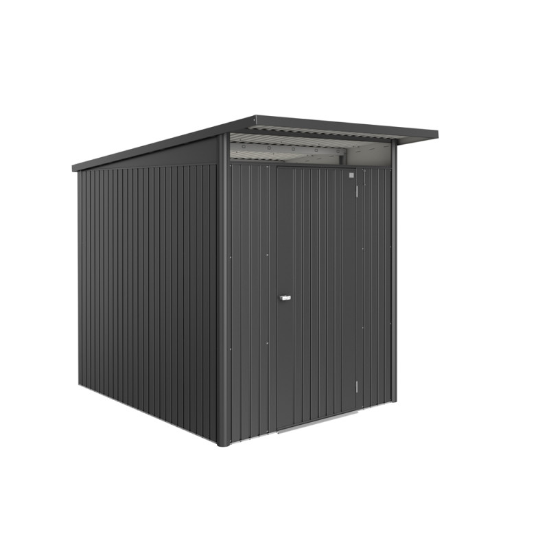 Abri de jardin en métal AvantGarde Eco 1 porte gris foncé 1,8 x 2,55 x 2,18 m BIOHORT