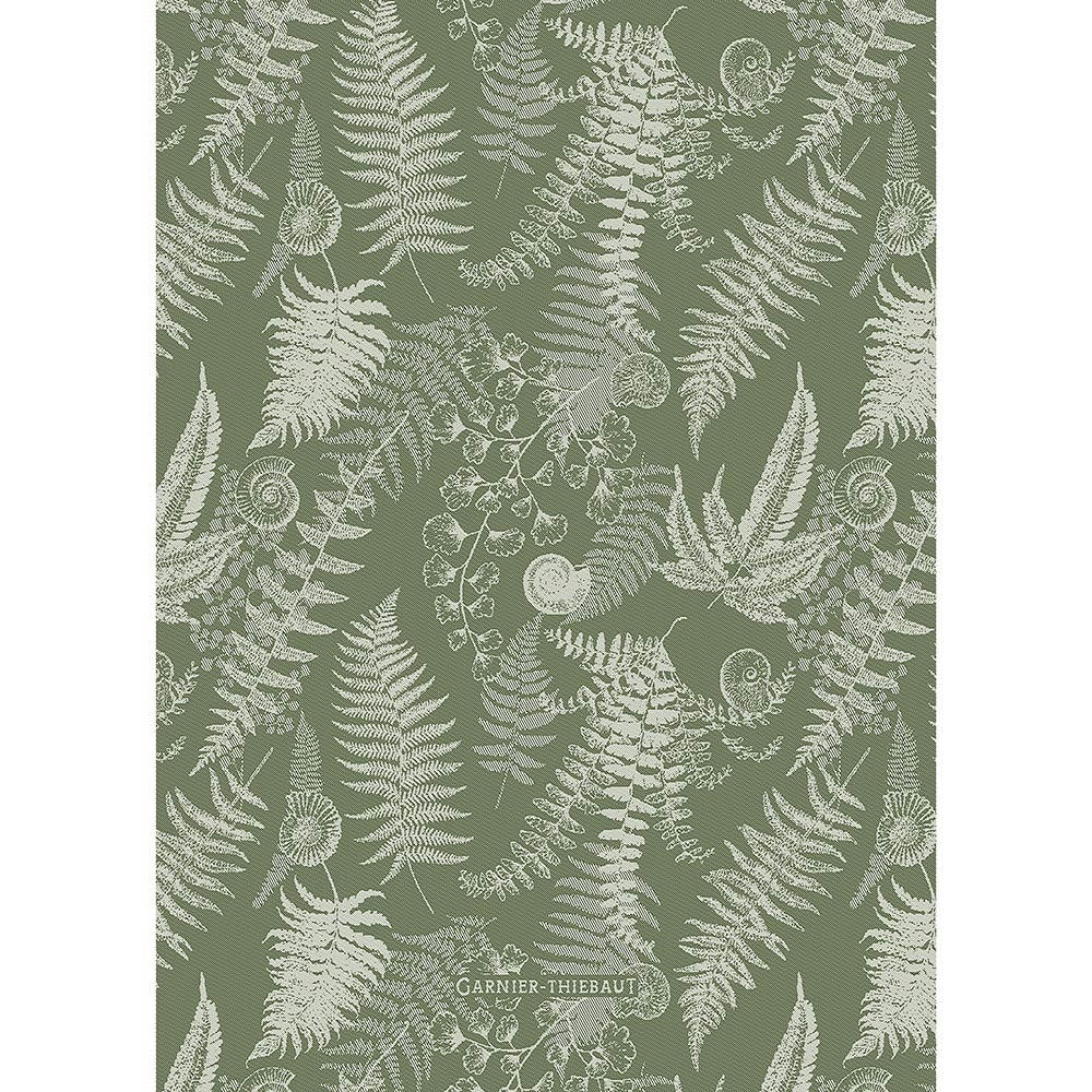 FOUGERES UNI MOUSSE - Torchon  pur coton vert 50x70