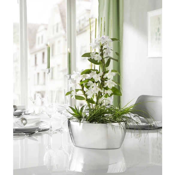 Pflanzschale »MIRROR SILVER«, ØxH: 16,5 x 12 cm, silberfarben