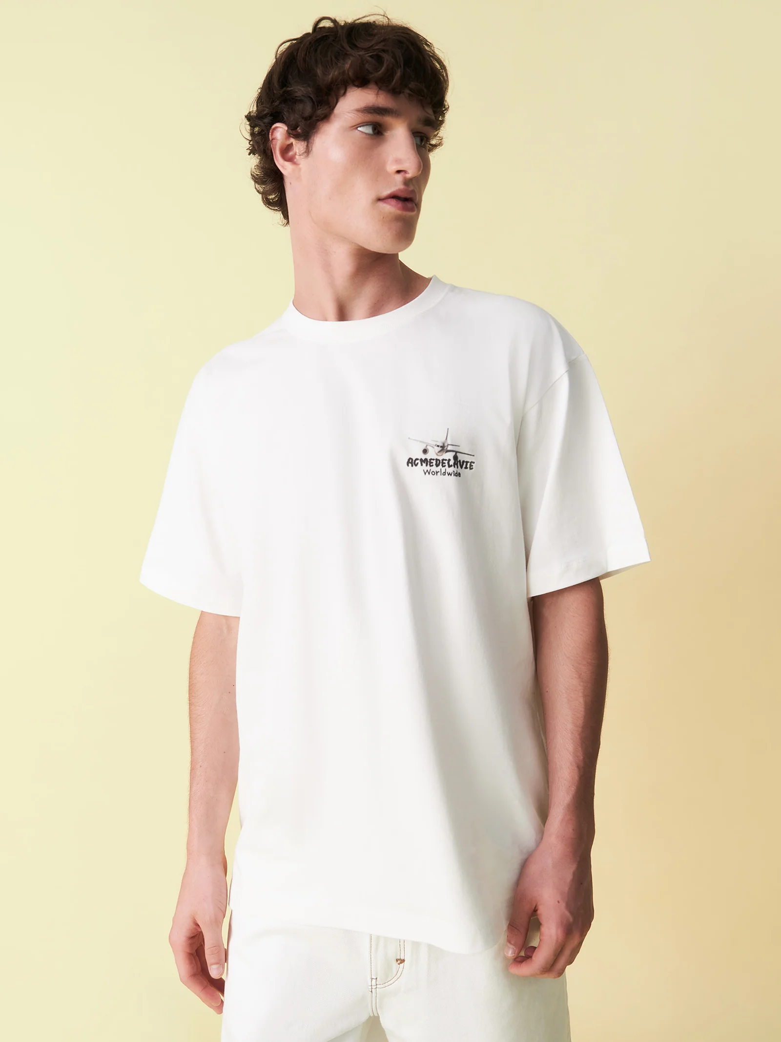 World Wide Airplane Bear Tee