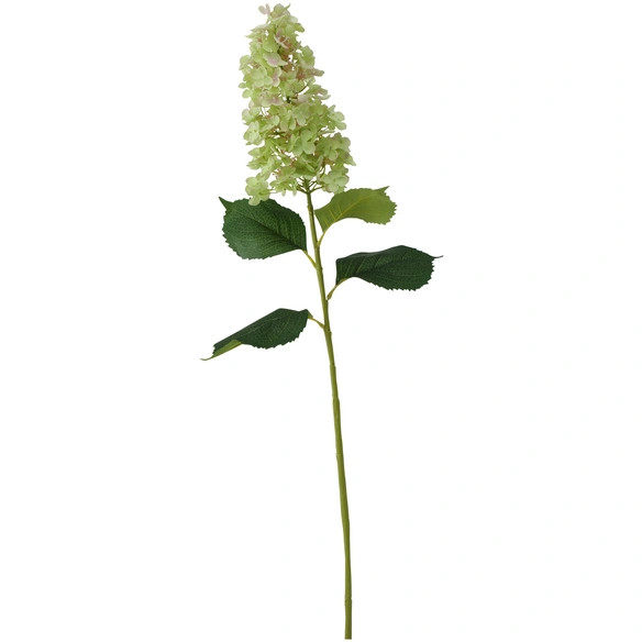 Stielblume, Flieder, bunt