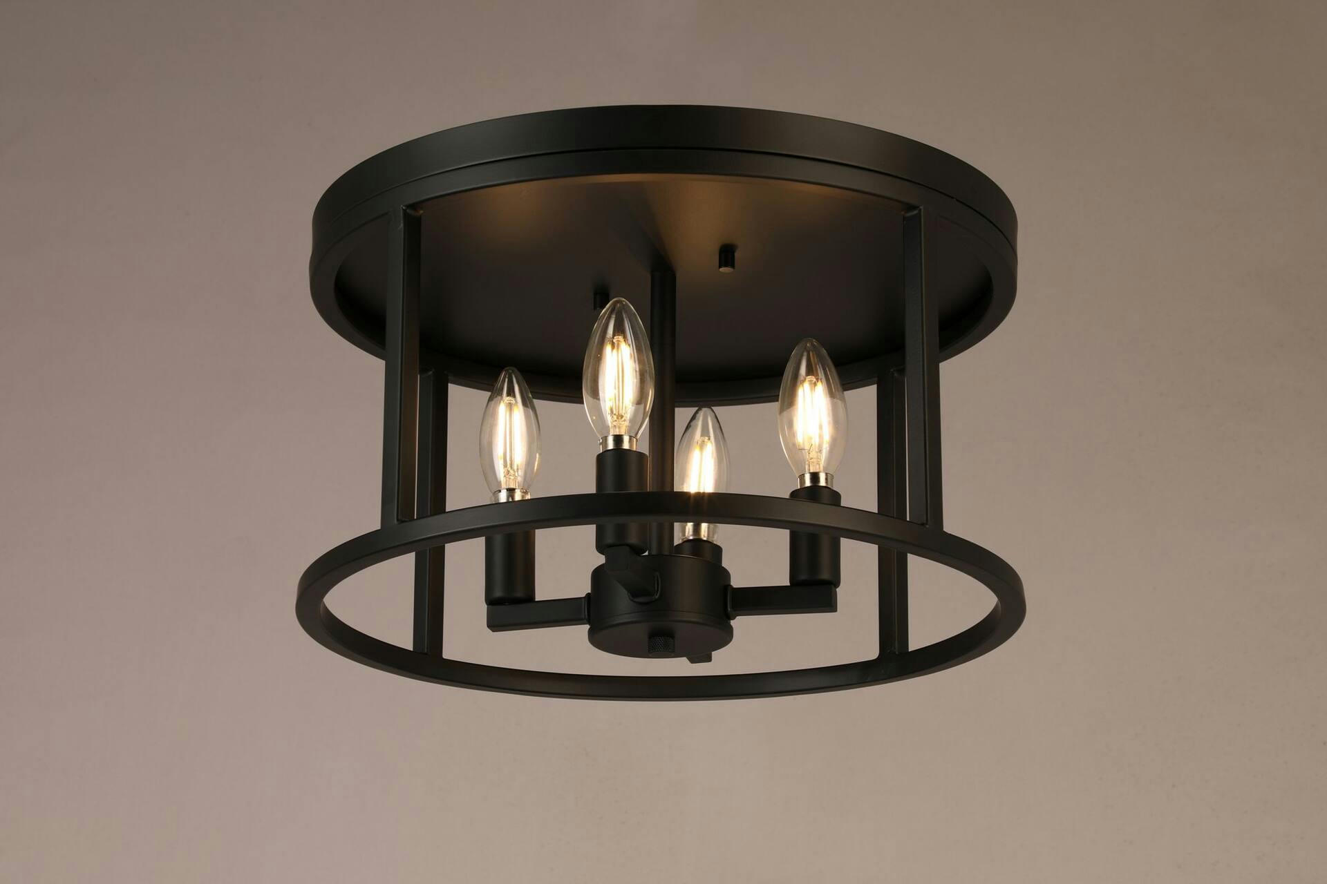 CANVAS Roxborough 4-Light Flush Mount Ceiling Light Fixture, Matte Black, 14-1/8-in