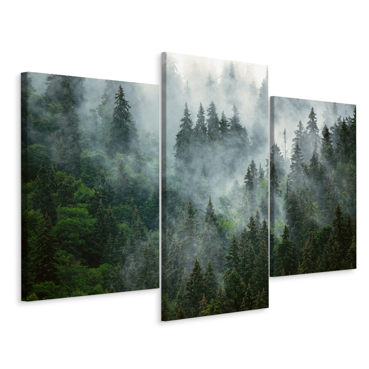Obraz 3-częściowy LAS WE MGLE Pejzaż 3D 60x40cm