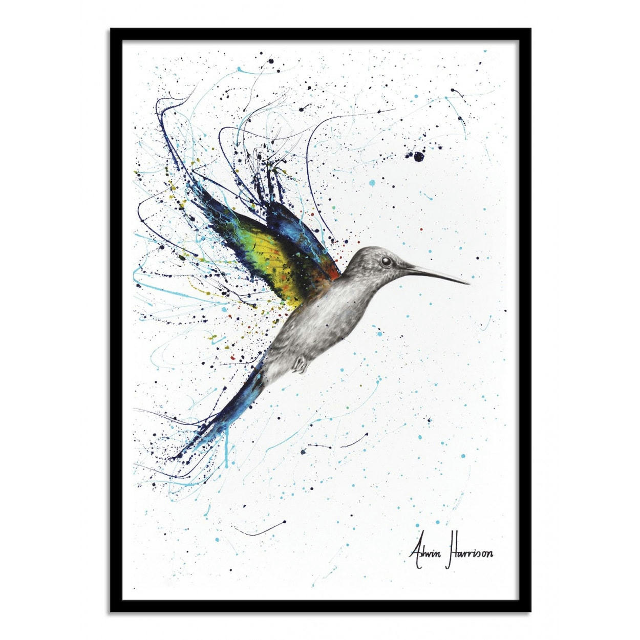 ASHVIN HARRISON - HAPPY HUMMINGBIRD - ASHVIN HARRISON - Affiche d'art 30 x 40 cm