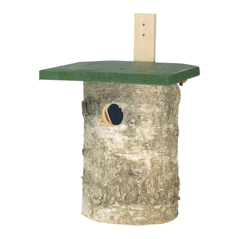 Nistkasten Birke