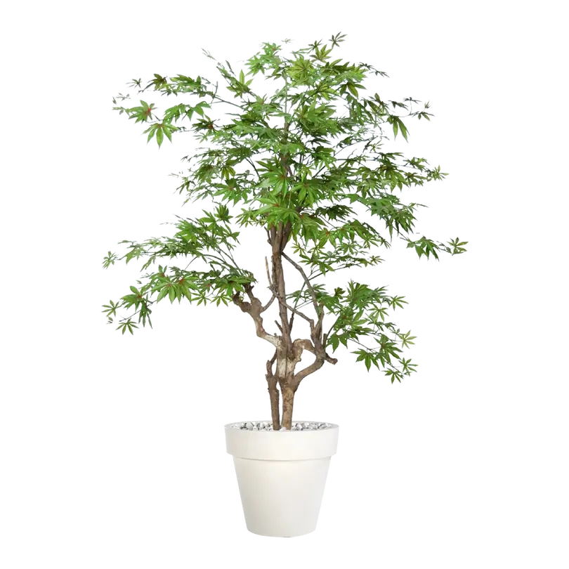 Kunstpflanze Maple