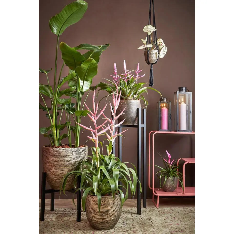 Mica Decorations Ascot Plantenstandaard L37,5 x B37,5 x H95 cm Zwart