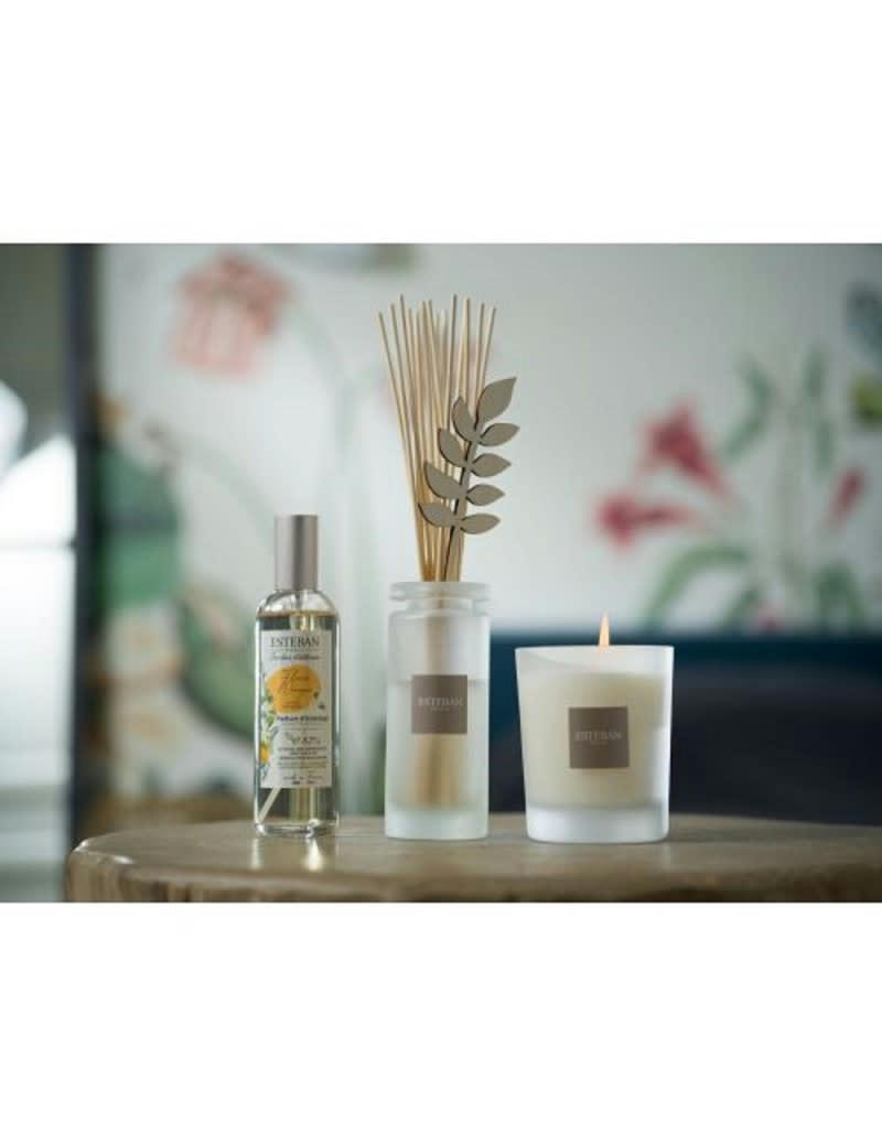 FLEURS D’ORANGER - Recharge bouquet 500ml