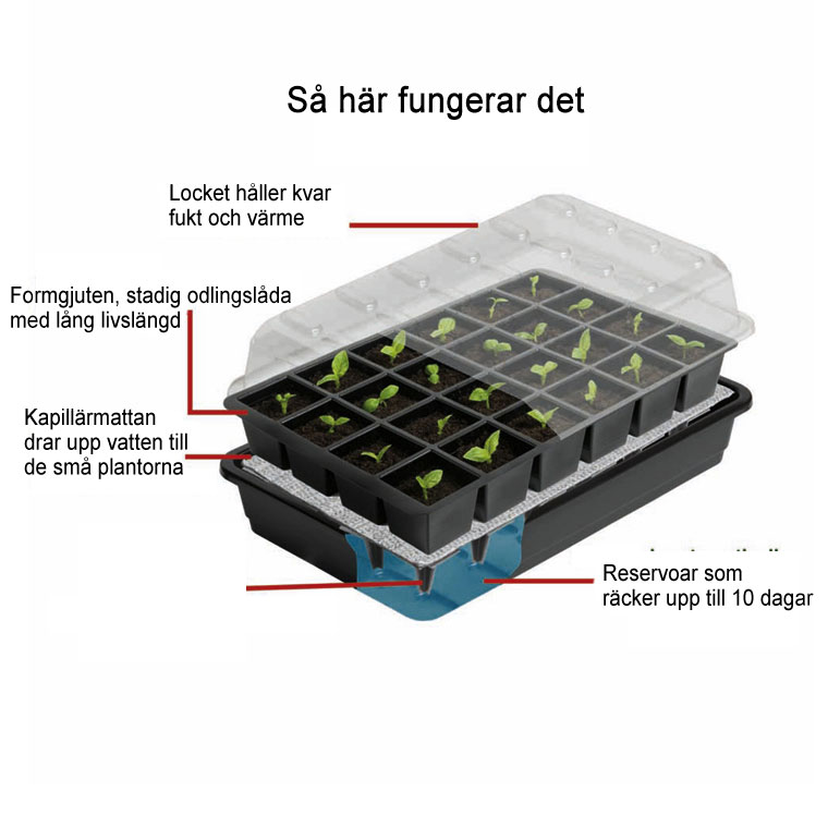 Miniväxthus med bevattning, 12 celler