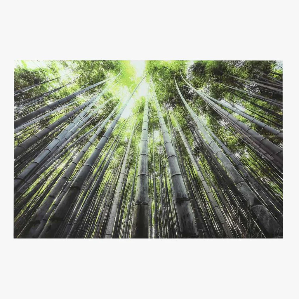 Quadro Vidro Floresta 150x100