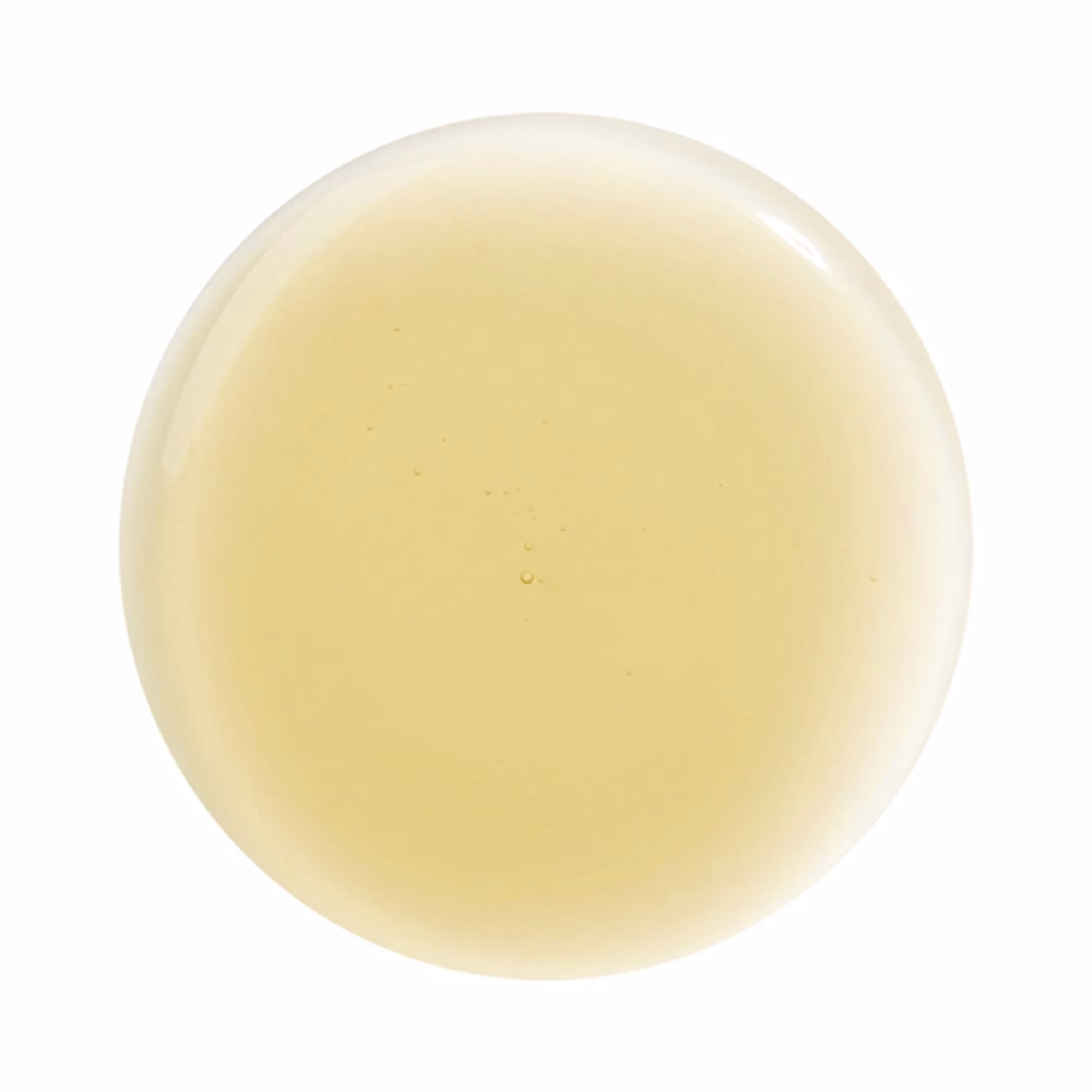HAIR RITUEL BY SISLEYSoin lavant lissant à l'huile de moringa