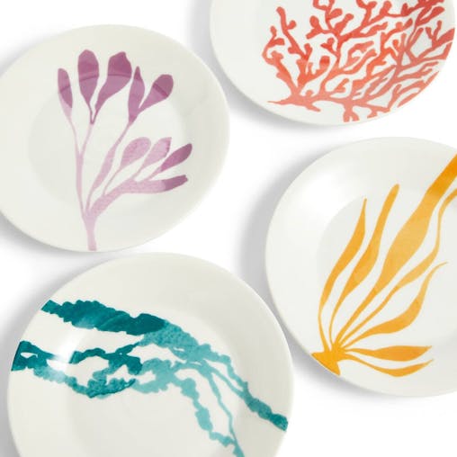 Royal Doulton 1815 Bright 16cm Plate Set of 4 Plates - 4pc