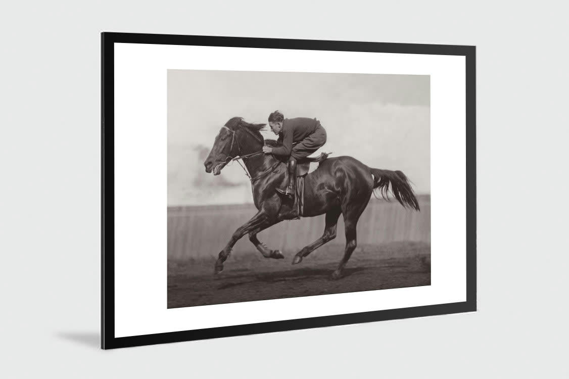 EQUITATION - Photo ancienne noir et blanc cheval n°40 alu 60x90cm