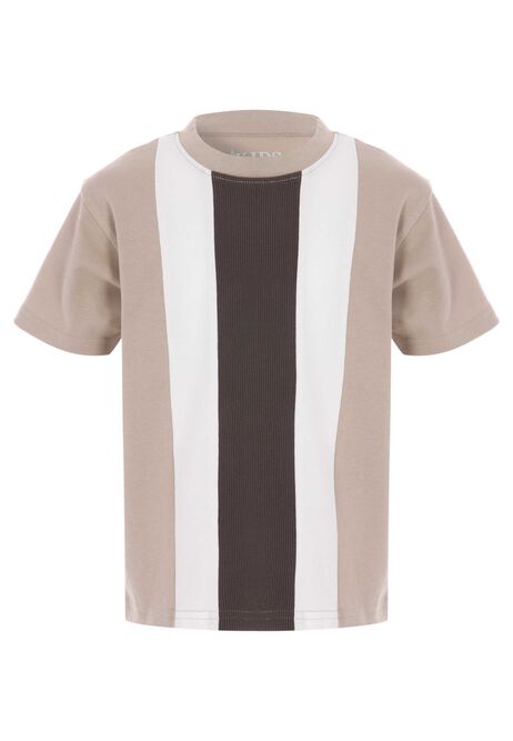 Younger Boys Brown Stripe Cotton T-Shirt