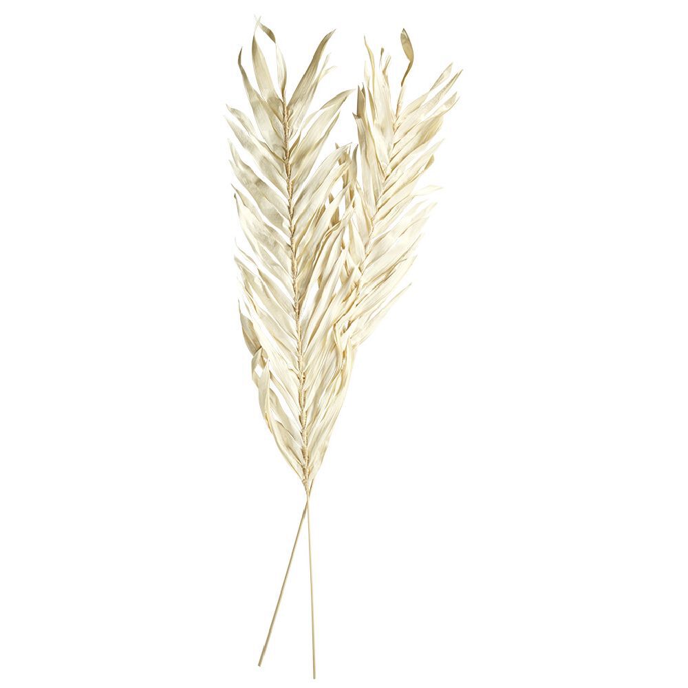 Feuille séchée naturelle x2