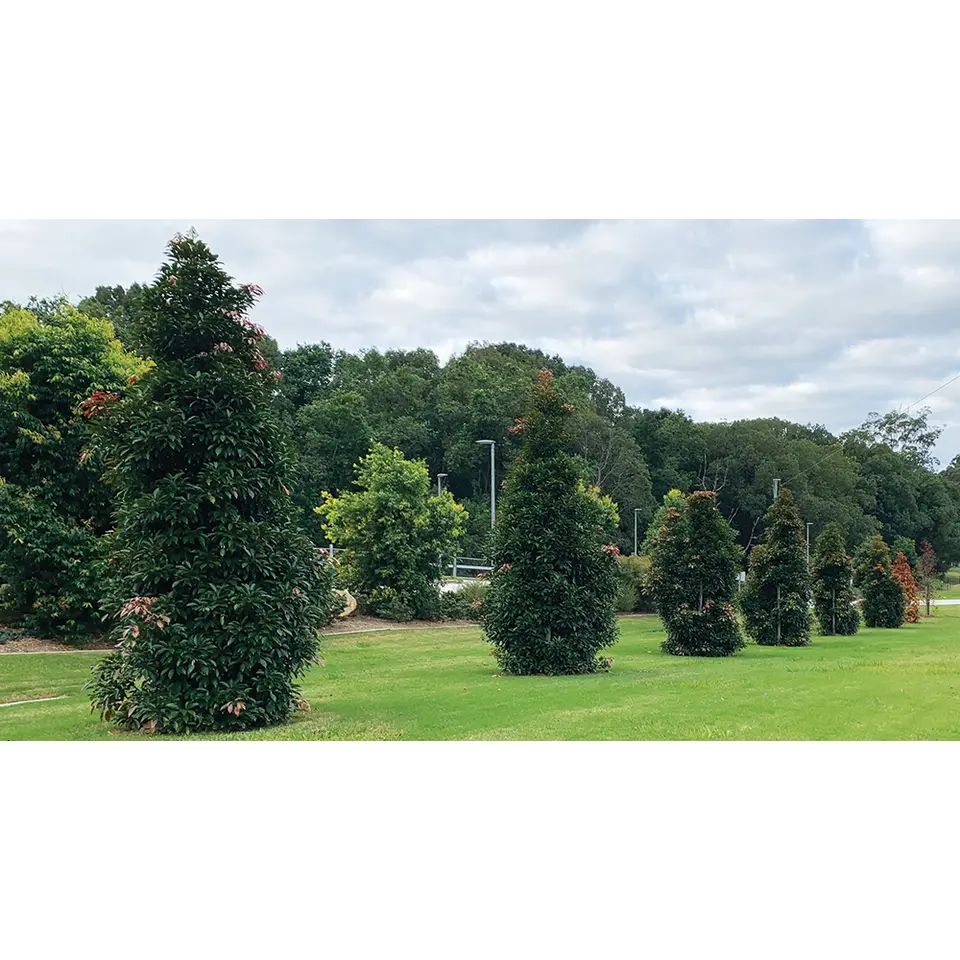 BERA WaterUps waterreservoir - voor plantenbakken en bomen