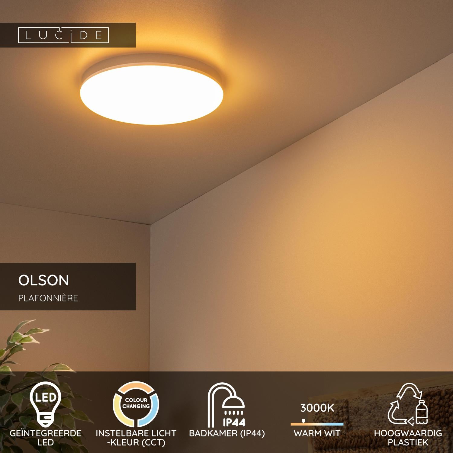 Lucide OLSON Plafonnière - Opaal