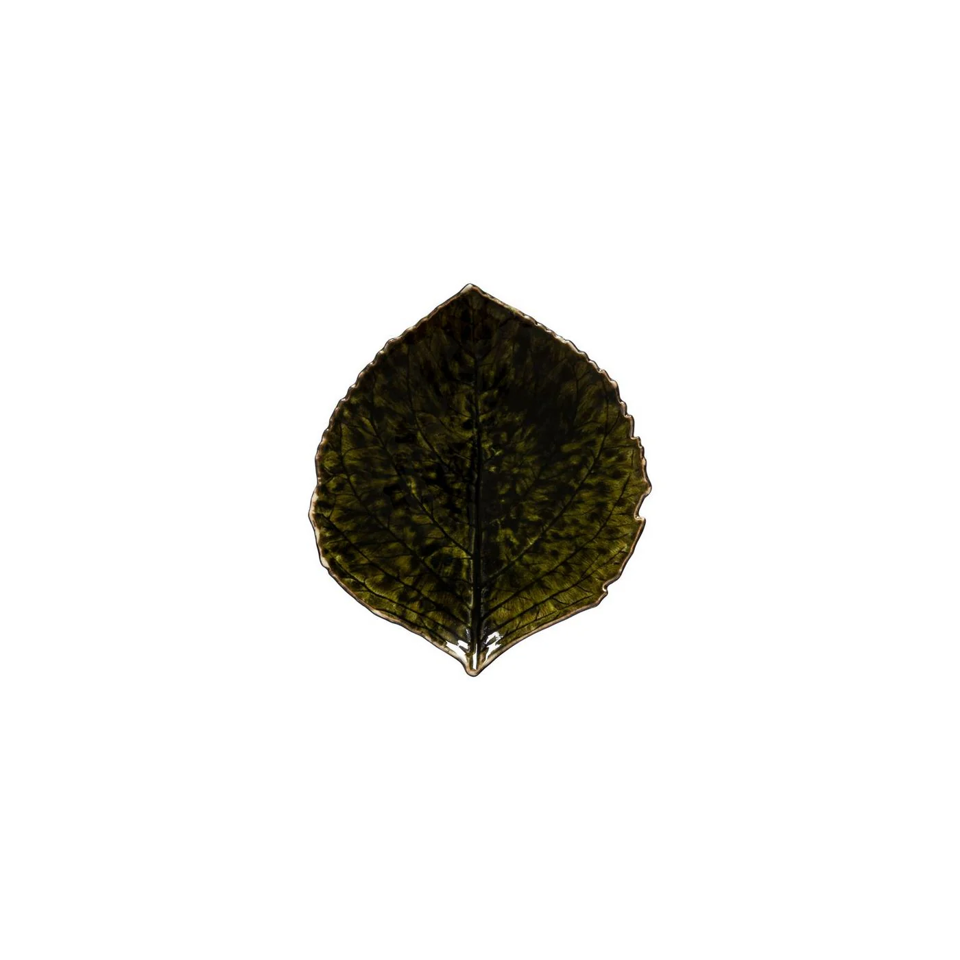 Small Hydrangea Leaf Riviera