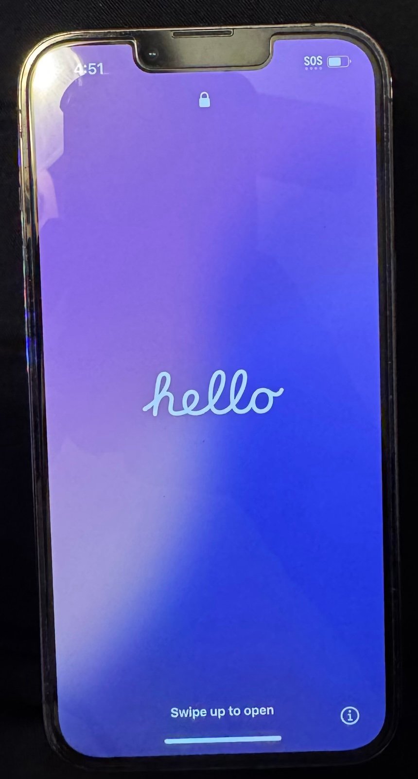 iPhone 13 Pro unlocked 256GB battery life 100%