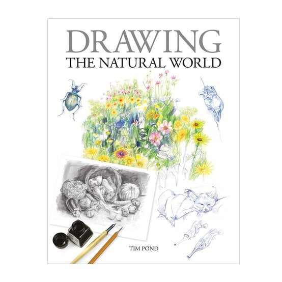 Drawing the Natural World