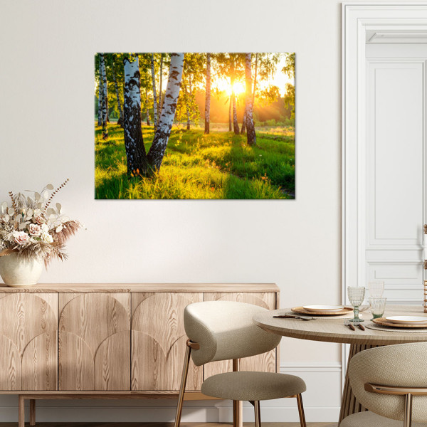 Obraz do salonu sypialni biura, Brzozowy las natura pejzaż 30x20