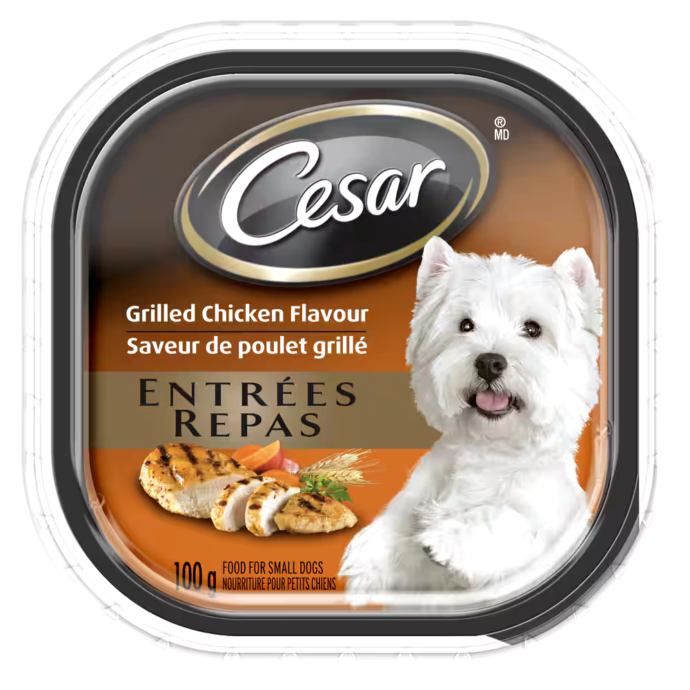 Cesar Entrées Adult Wet Dog Food, 100-g, Assorted Flavours