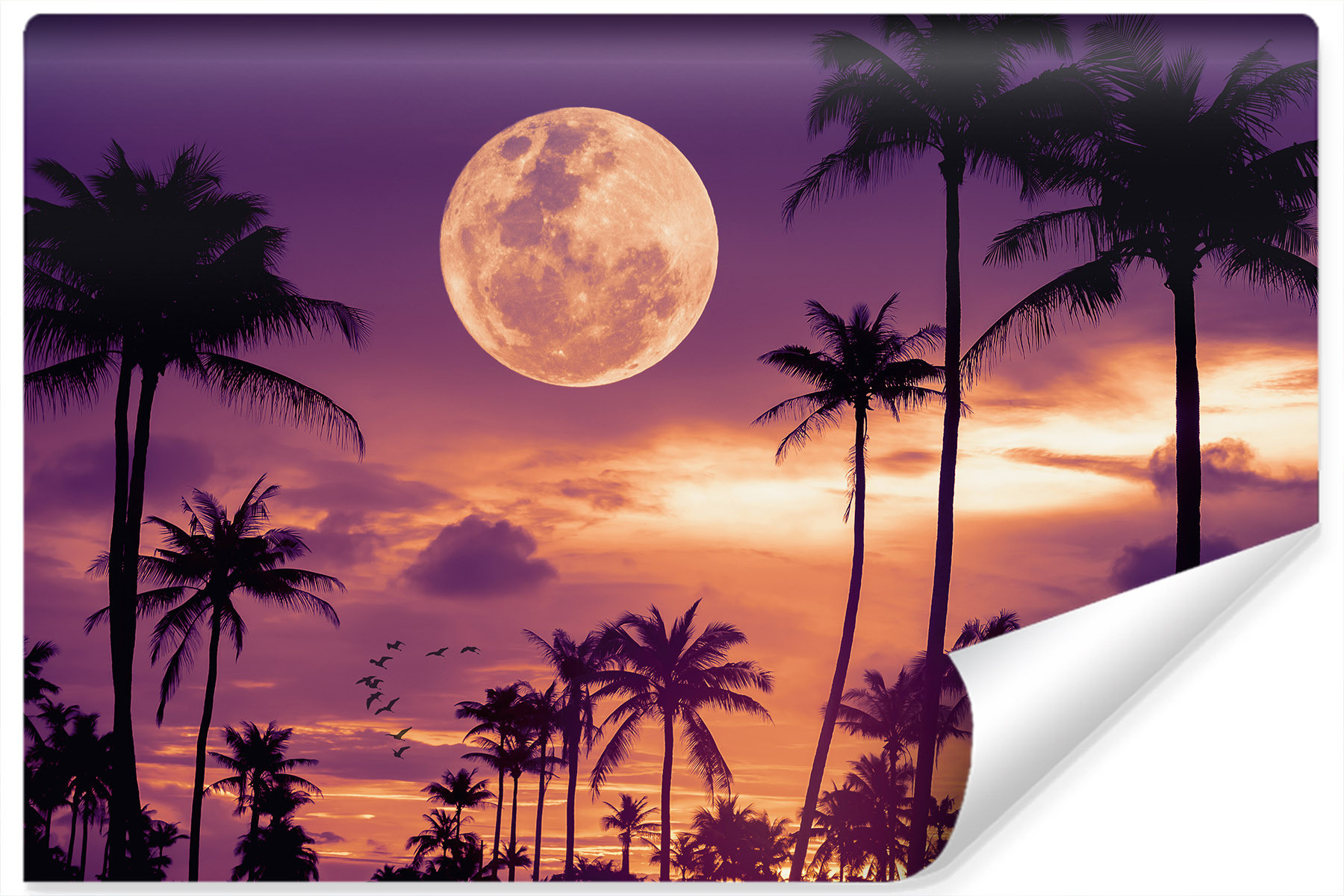 Fototapeta Do Sypialni KSIĘŻYC w Pełni 3D 90x60cm