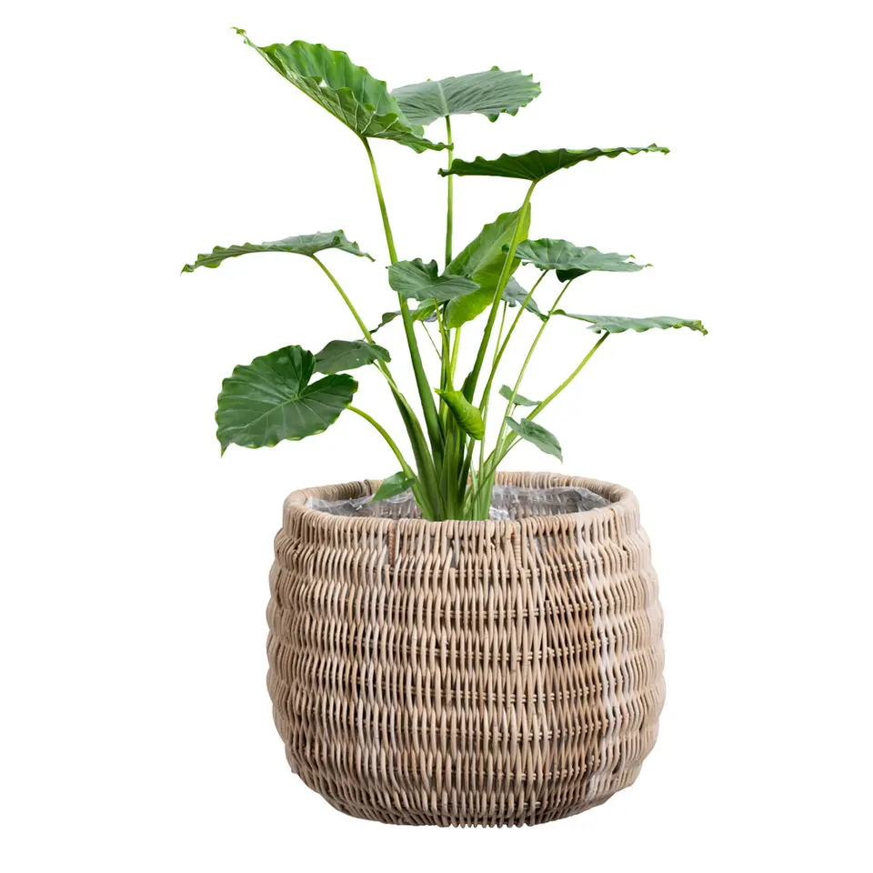 Bloempot Stephanie - rotan - naturel - 55x&Oslash;67 cm