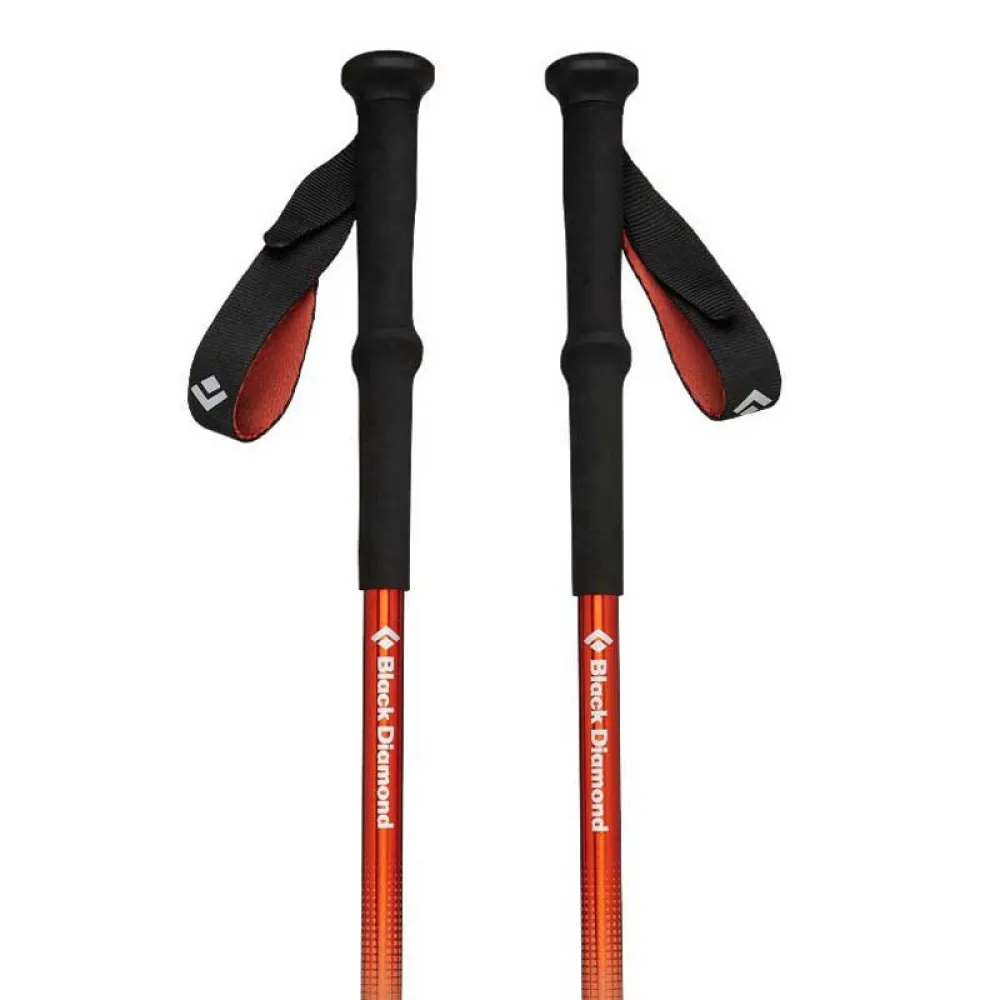 Black Diamond Trail Back poles