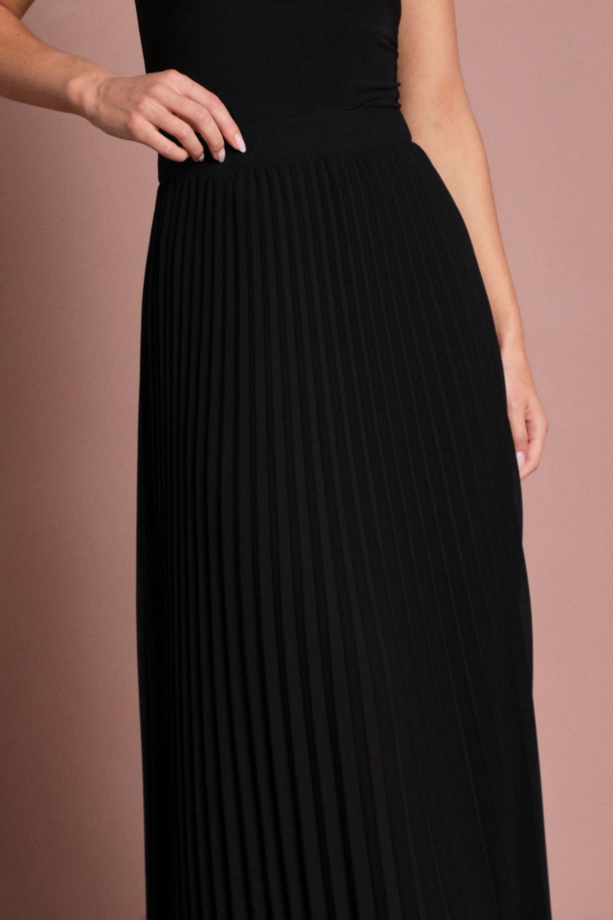 Coast Pleated Georgette Maxi Skirt