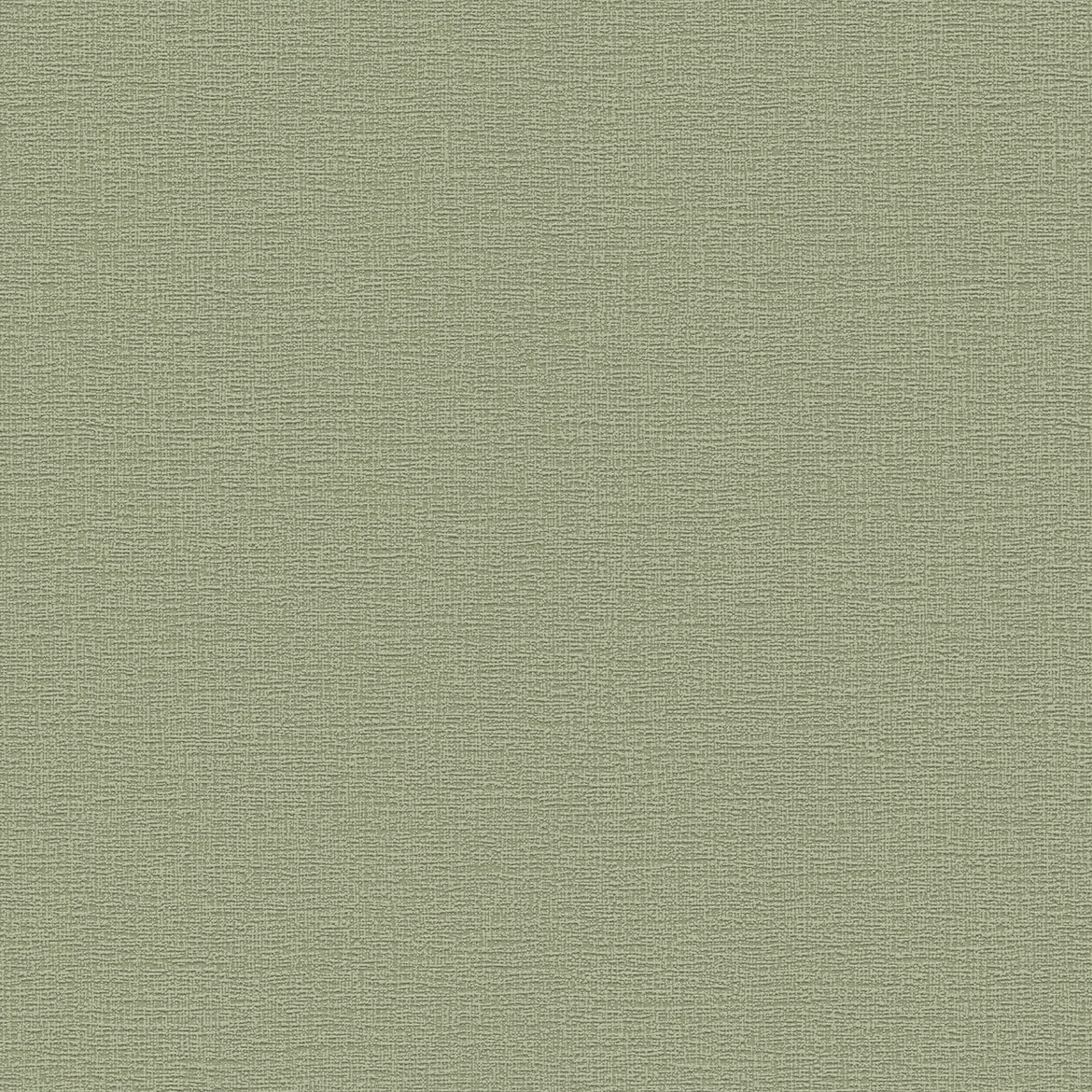 A.S. Création behang effen vergrijsd olijfgroen - 53 cm x 10.05 m - AS-367137