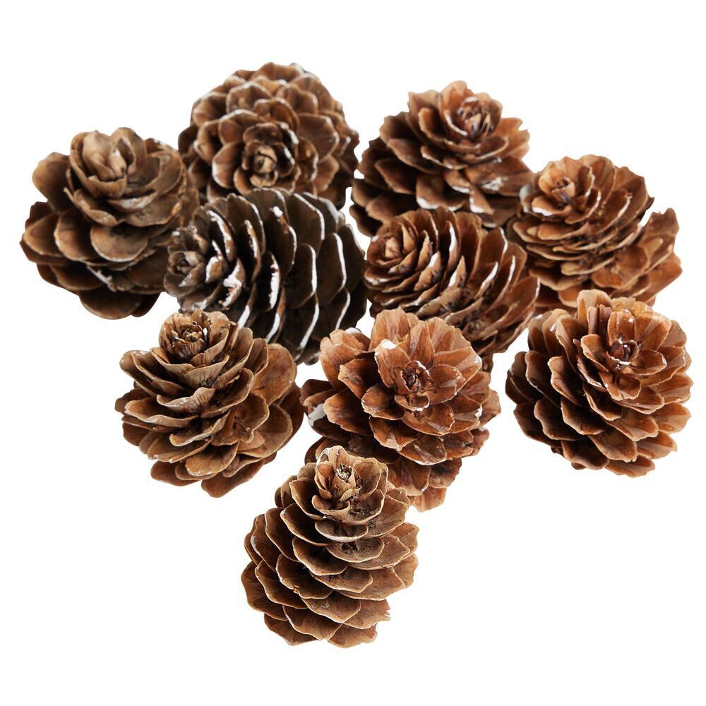 Pomme de pin à poser effet neige blanche x10