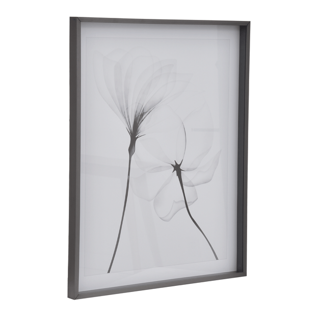 QUADRO 69 CM X 84 CM X-RAY FLOWERS II
