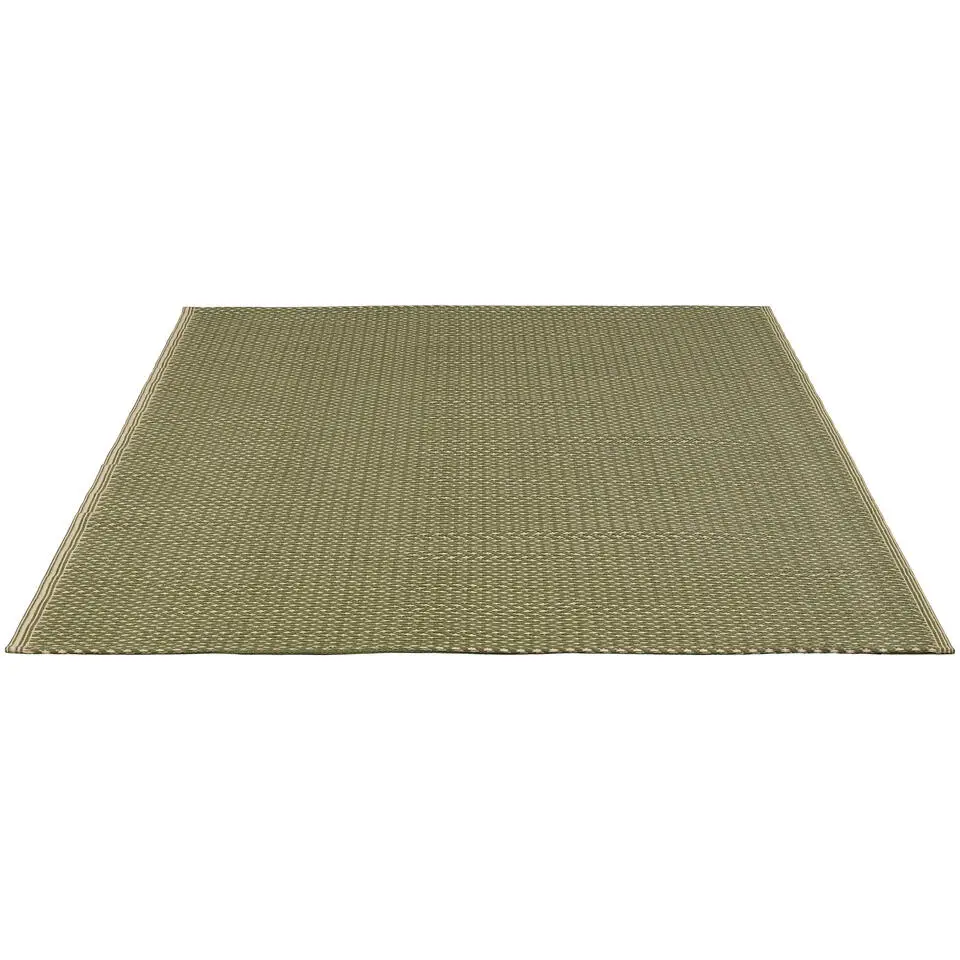 Buitenkleed Chavi - groen/off-white - 160x230 cm