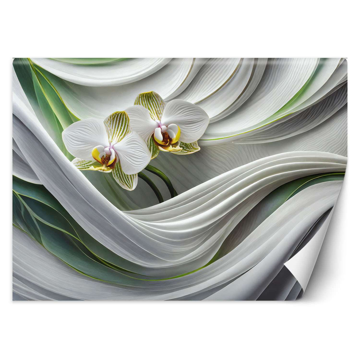 Feeby Fototapeta, Orchidea abstrakcja 3D 150x105