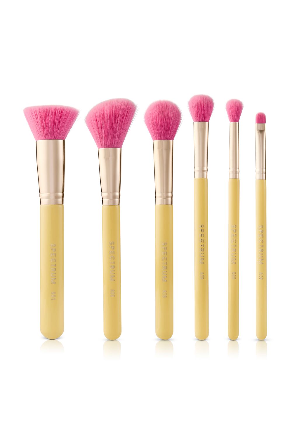 Spectrum Palm Springs 6 Piece Brush Set
