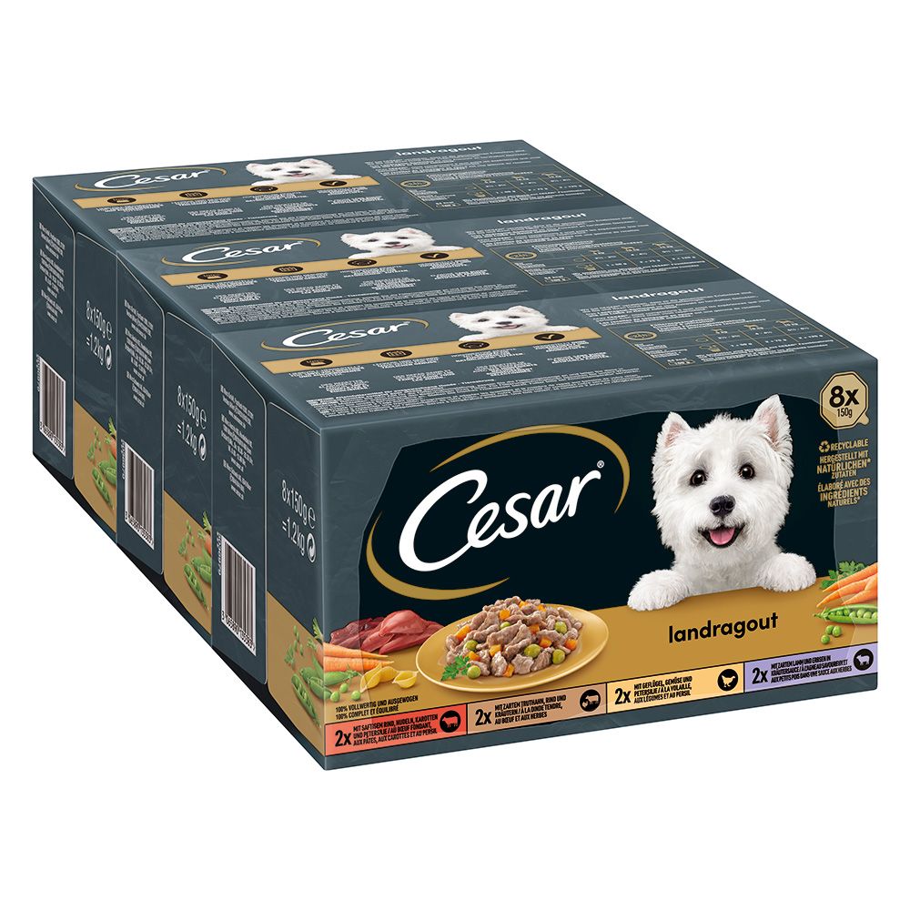 Cesar Country Stew Mixed Pack