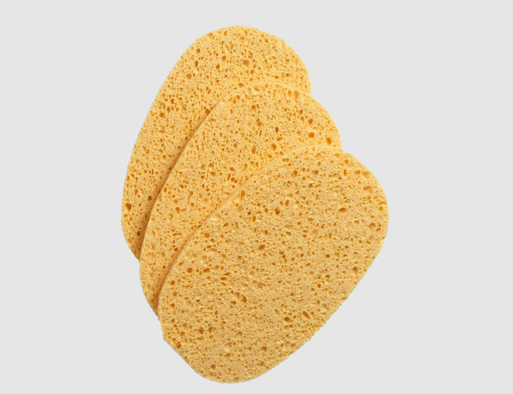 Tuchschwamm