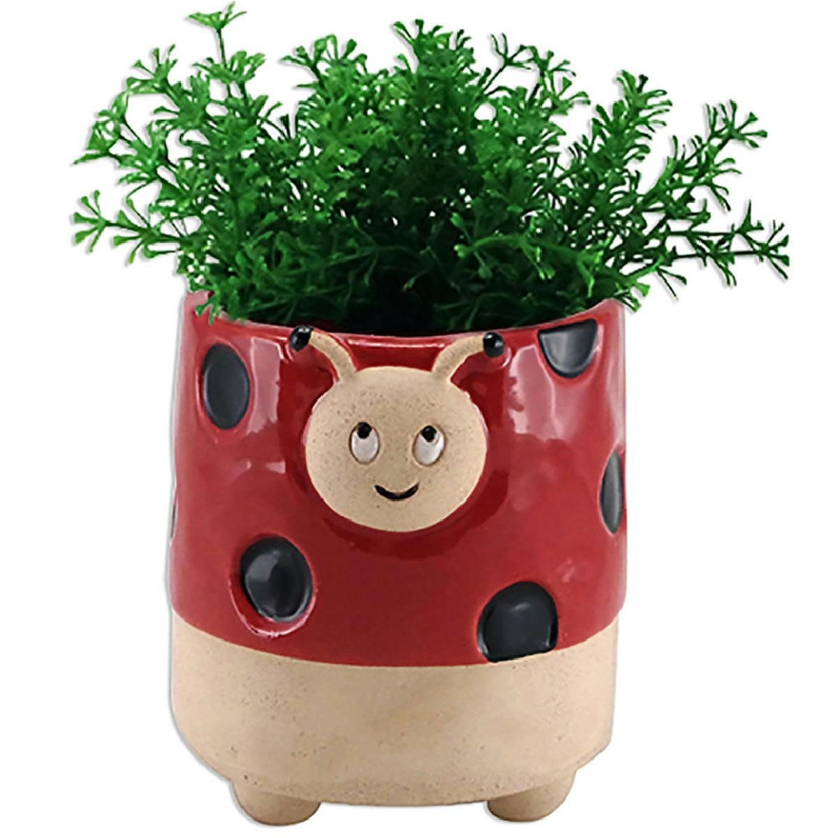 - Cache pot coccinelle