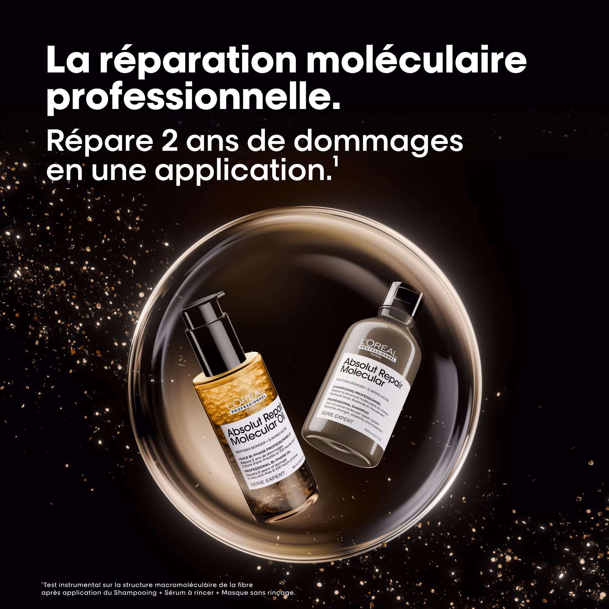 SERIE EXPERT ABSOLUT REPAIRCoffret - shampoing + sérum à rincer + masque + huile
