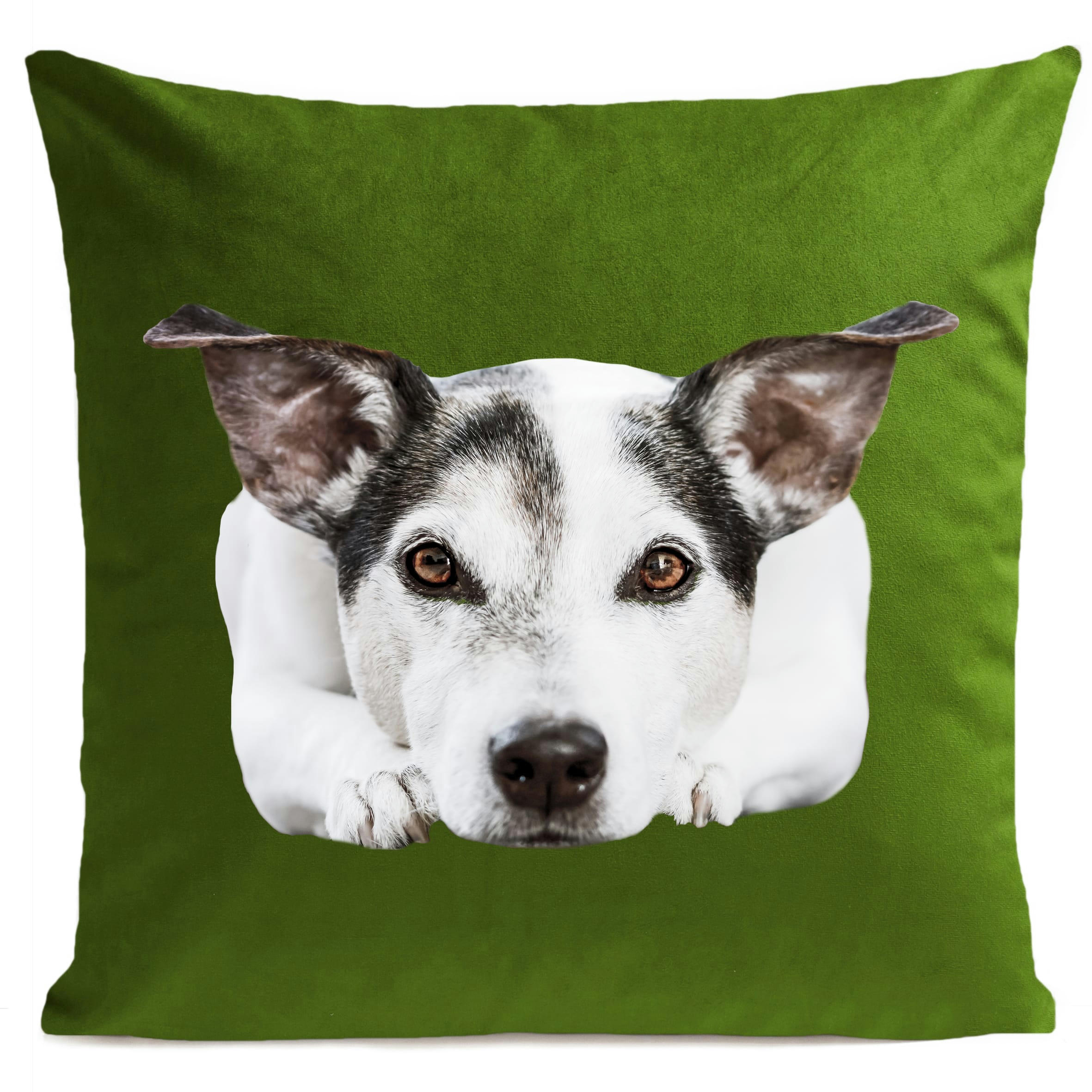 - Coussin chien jack russel suédine vert 40x40cm