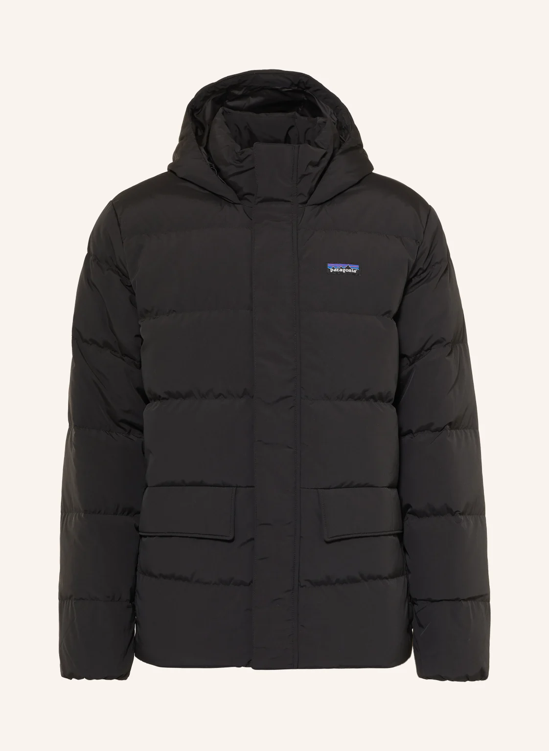 patagonia Daunenjacke SISAR