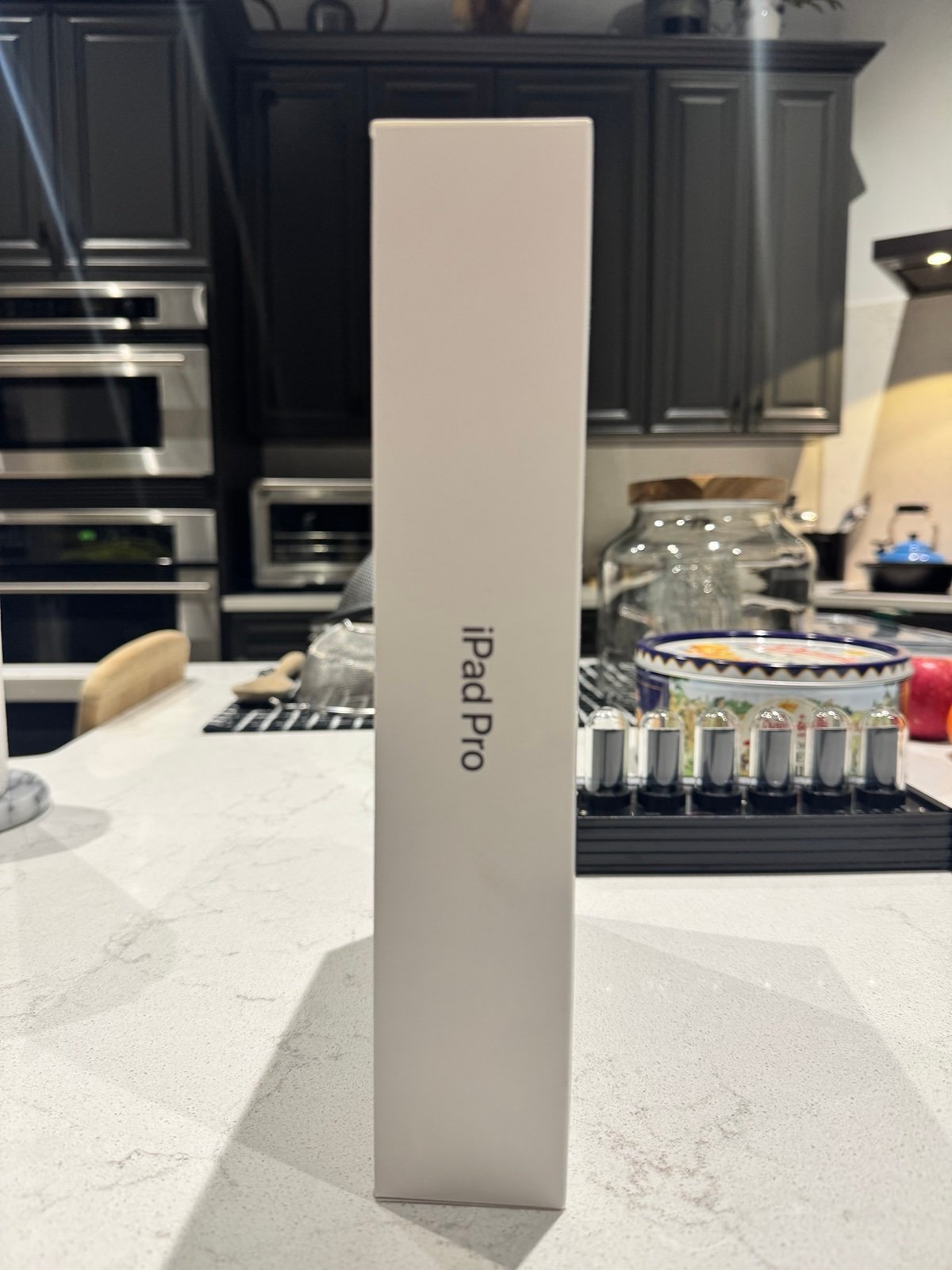 IPad Pro 11 Inch (M4) 1 TB