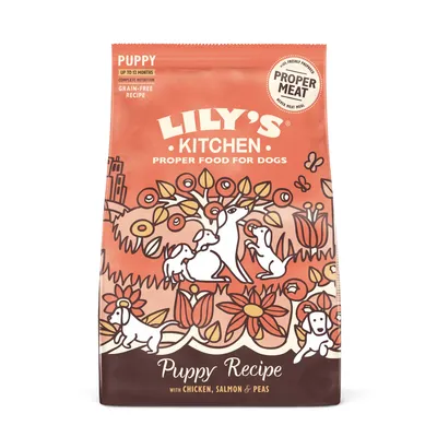 Lily's Kitchen Puppy Chicken & Salmon