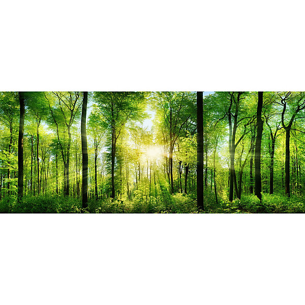Papier peint panoramique intissé forêt dans les bois vert, 14 lés, L.280 x l.700cm IDPanneaux